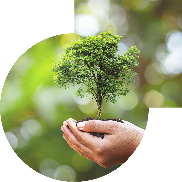 關懷人類、文化、環境與社會